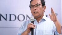 Saiful Mujani ,Konsep Makar