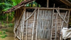 Banjir , Tanggul Sungai Tuntang , Kabupaten Demak