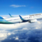 Garuda Indonesia