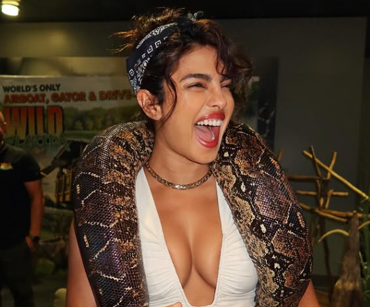 Priyanka Chopra Jonas